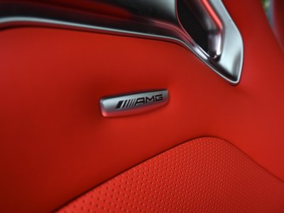صورة مصغرة 91 لـ 2025 Mercedes-BENZ GT AMG