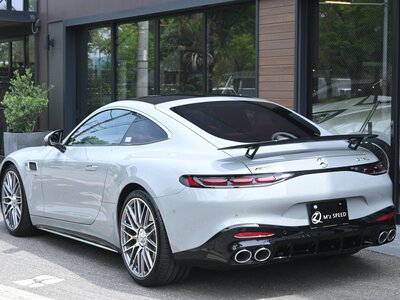 2025 Mercedes-BENZ GT AMG — фото 8
