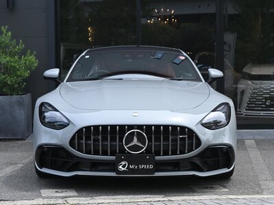 صورة مصغرة 16 لـ 2025 Mercedes-BENZ GT AMG