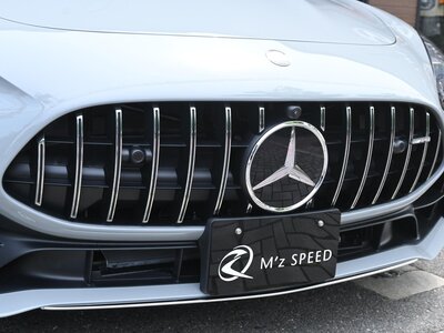صورة مصغرة 22 لـ 2025 Mercedes-BENZ GT AMG