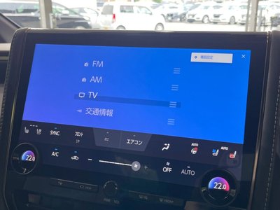 2025 TOYOTA ALPHARD 缩略图 48