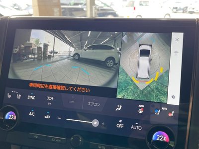 2025 TOYOTA ALPHARD 缩略图 57