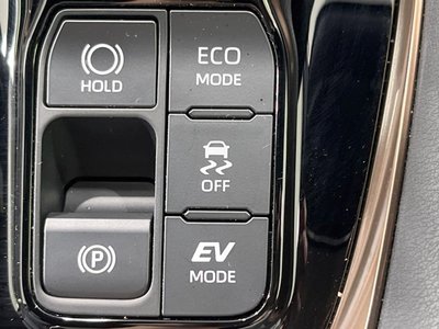 2025 TOYOTA ALPHARD 缩略图 53