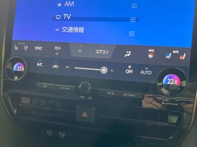 2025 TOYOTA ALPHARD 缩略图 49