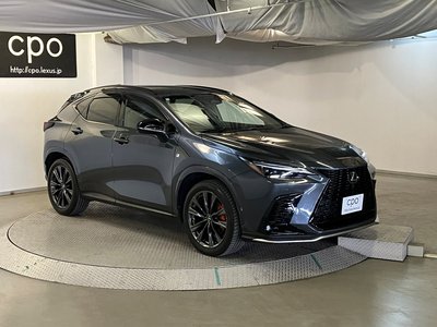 LEXUS NX - 10
