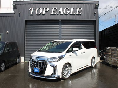 2019 Toyota ALPHARD photo 1
