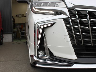 2019 Toyota ALPHARD — миниатюра 62
