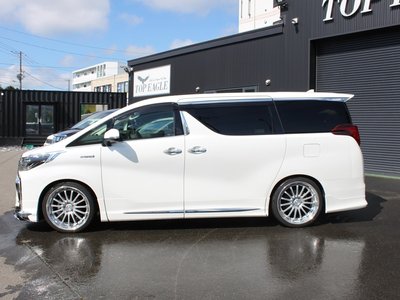 2019 Toyota ALPHARD photo 3