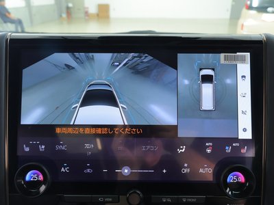 2024 Toyota ALPHARD 缩略图 11