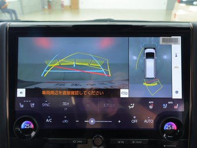2024 Toyota ALPHARD 照片 10