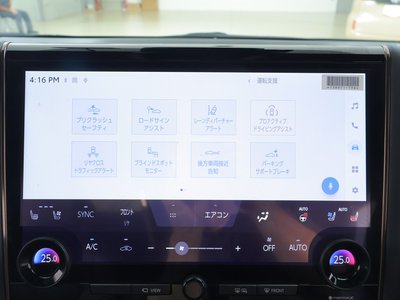 2024 Toyota ALPHARD 缩略图 13
