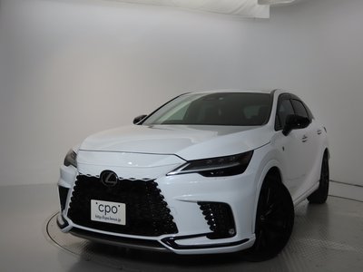 LEXUS RX - 6