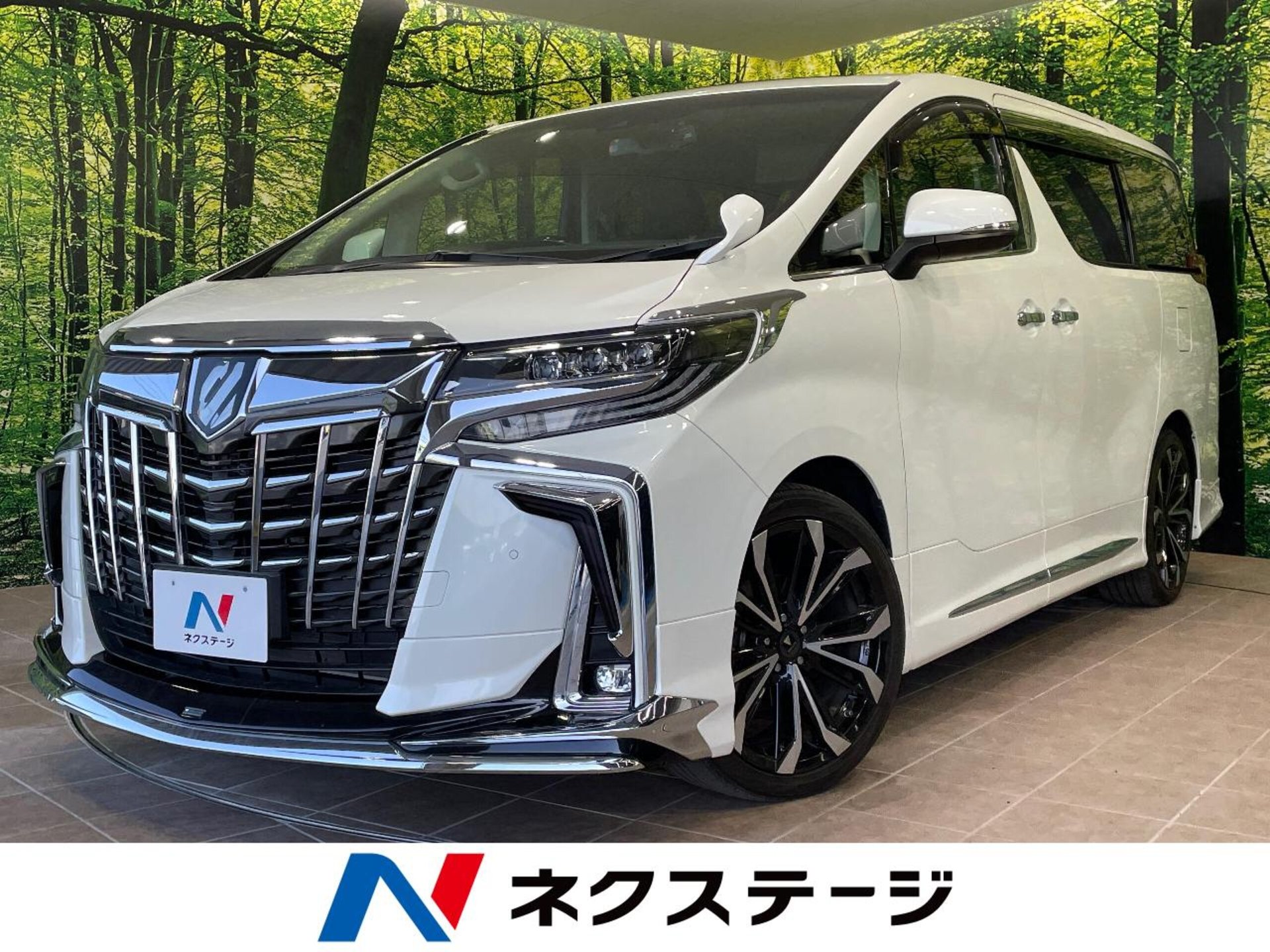 TOYOTA ALPHARD - View 1