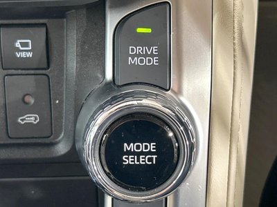 2025 Toyota LAND CRUISER 300 缩略图 58