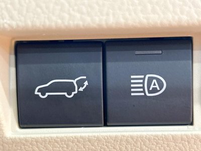 2025 Toyota LAND CRUISER 300 缩略图 49