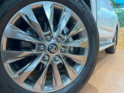 2025 Toyota LAND CRUISER 300 缩略图 14