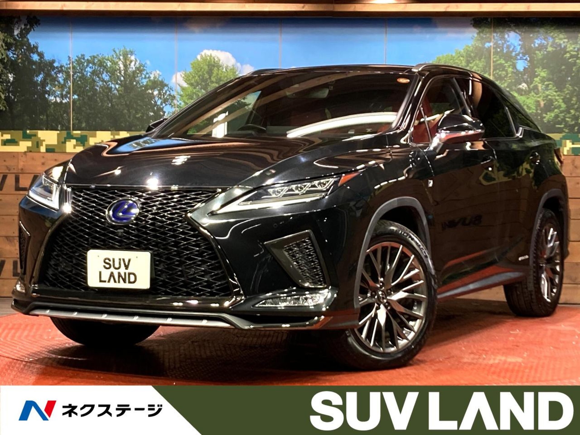 LEXUS RX - View 1