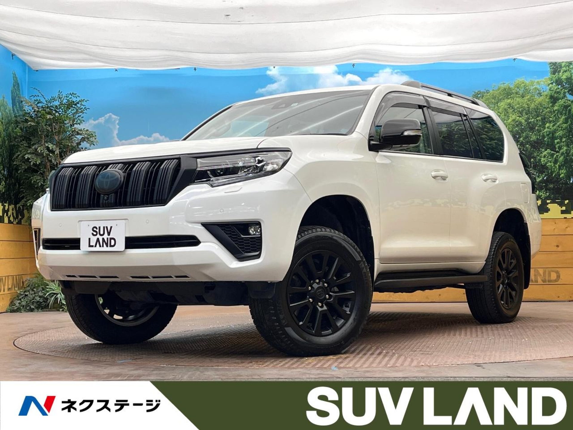 TOYOTA LAND CRUISER PRADO - View 1