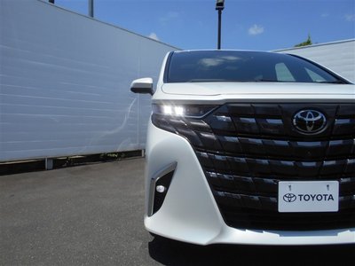 2023 Toyota ALPHARD 照片 10