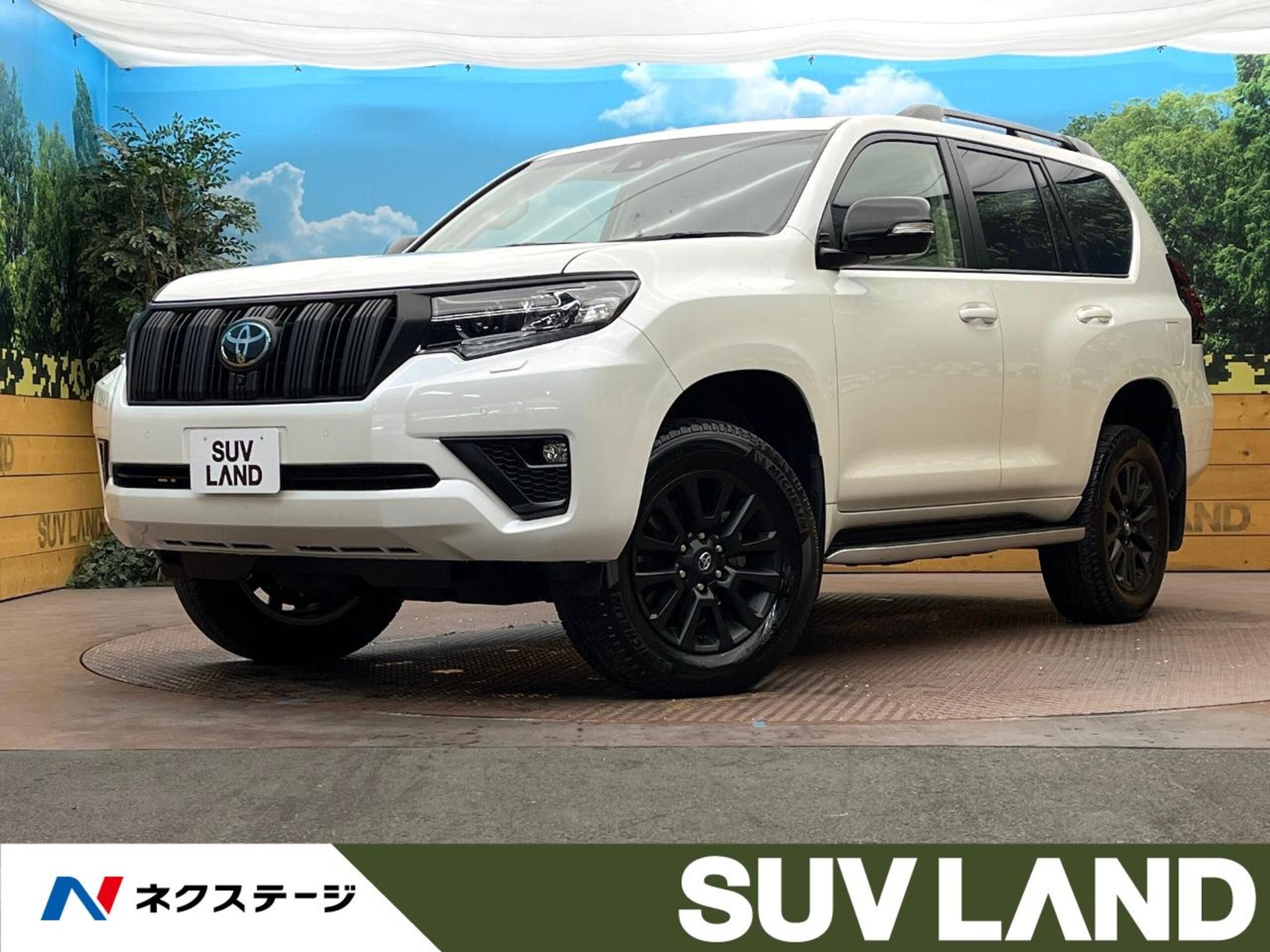 TOYOTA LAND CRUISER PRADO - View 1