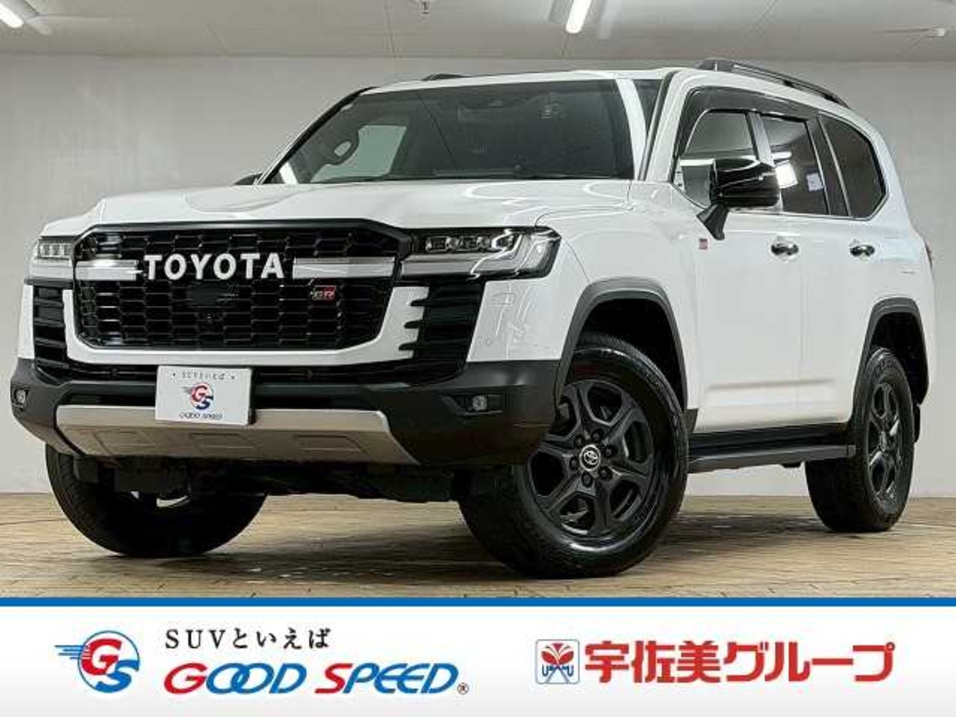 TOYOTA LAND CRUISER 300 - View 1
