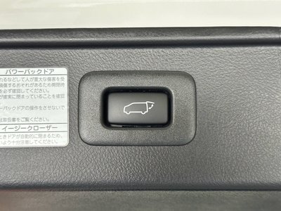 2021 Toyota ALPHARD — миниатюра 38