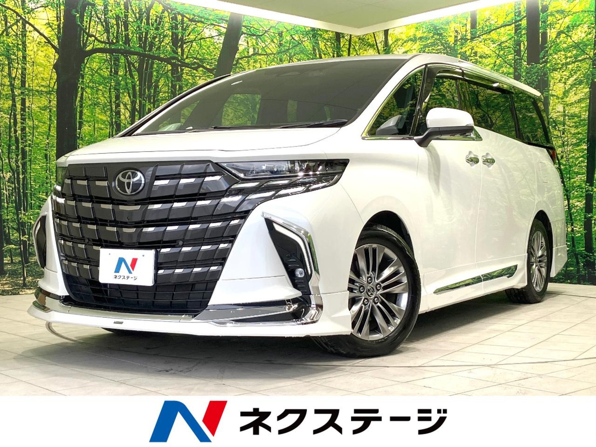 TOYOTA ALPHARD - View 1