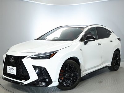 LEXUS NX - 10