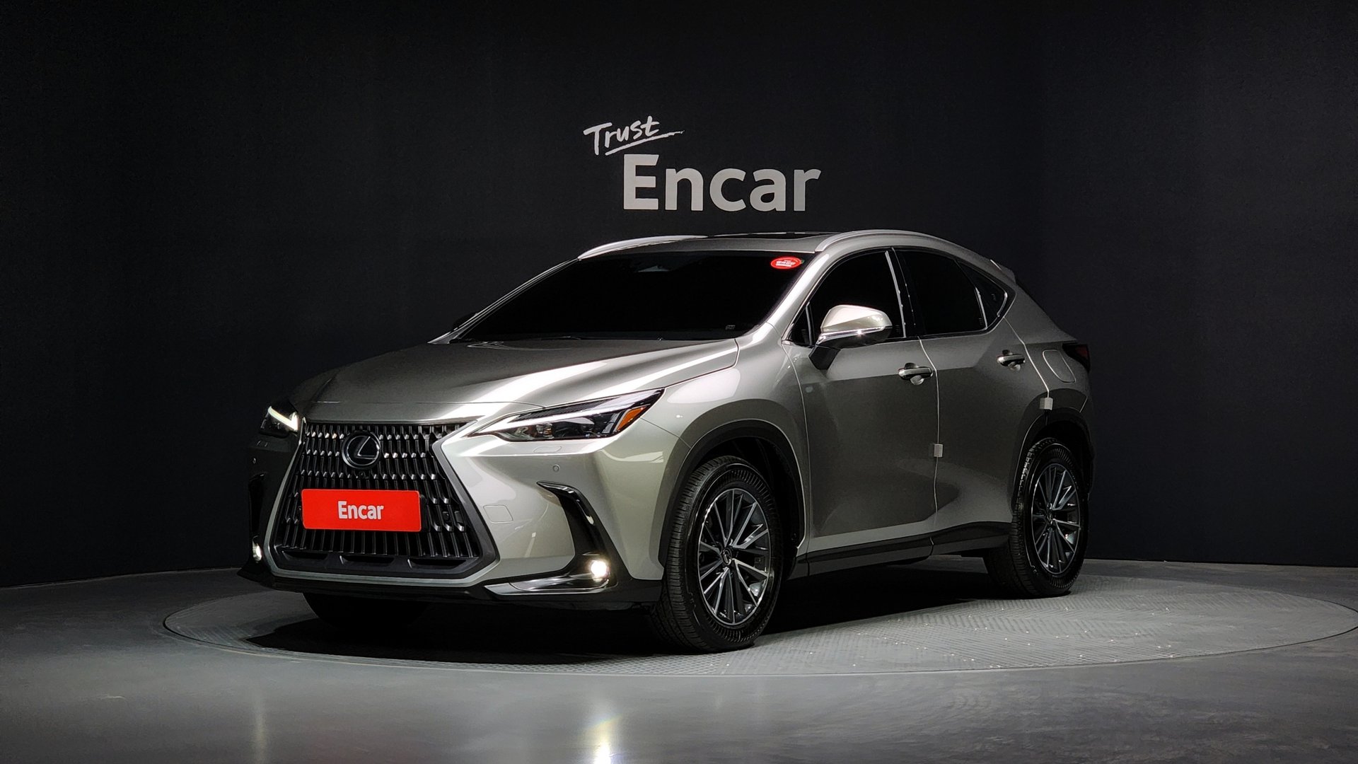 LEXUS NX - View 1