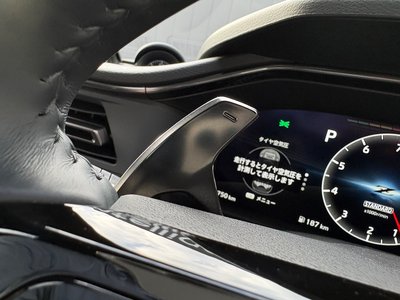 2025 Nissan FAIRLADY Z 照片 9