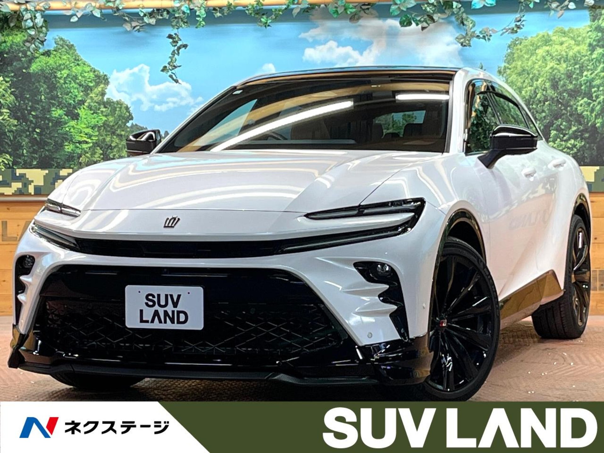 TOYOTA CROWN SPORT - View 1