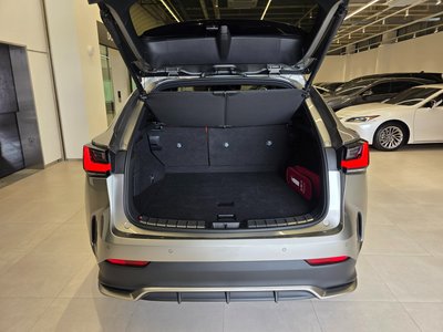 2025 Lexus NX — миниатюра 15