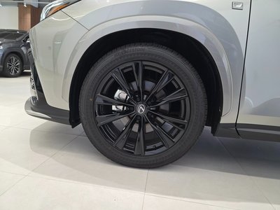 2025 Lexus NX 照片 6