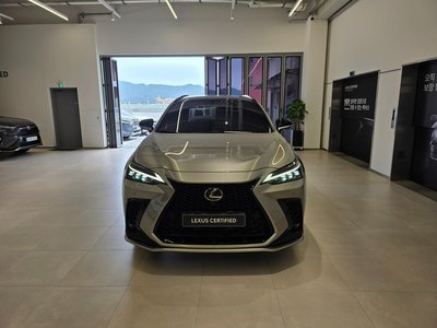 2025 Lexus NX 照片 2