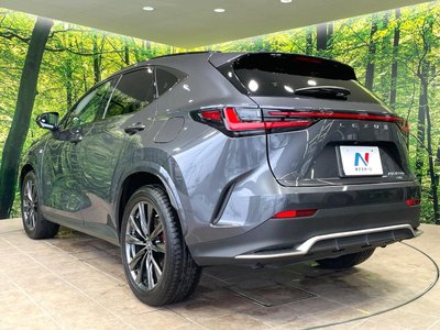 صورة مصغرة 63 لـ 2023 Lexus NX