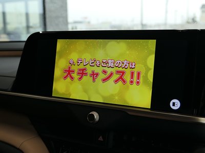 Thumbnail 55