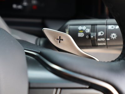 صورة مصغرة 38 لـ 2024 Lexus LM