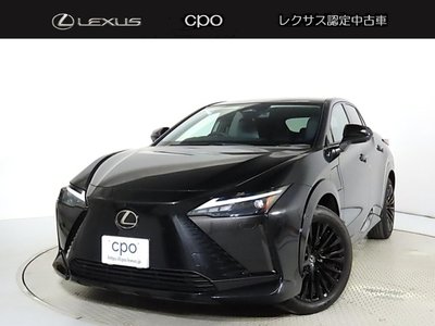 2023 Lexus RZ 照片 1