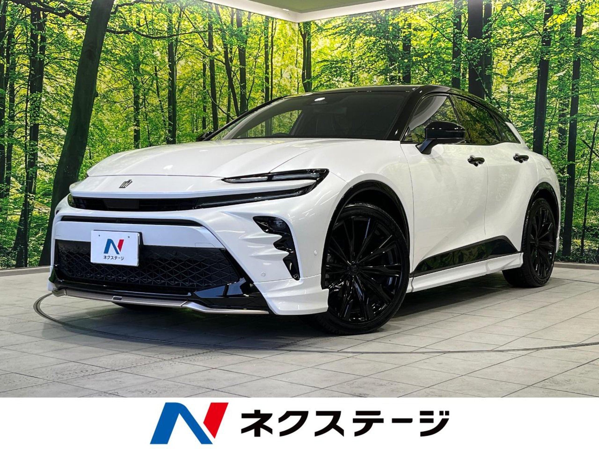 TOYOTA CROWN SPORT - View 1