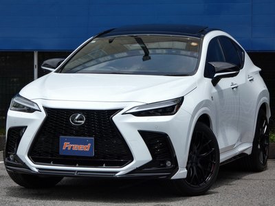 2023 Lexus NX — миниатюра 74