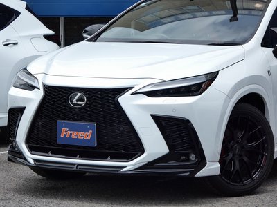 2023 Lexus NX — миниатюра 57