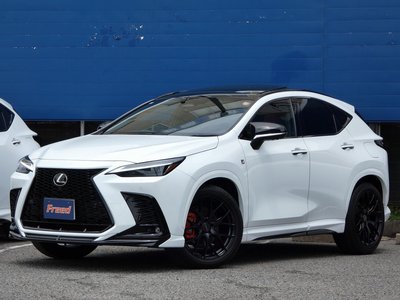 LEXUS NX - 10