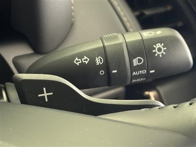 2024 Toyota ALPHARD thumbnail 15