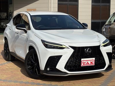 LEXUS NX - 10
