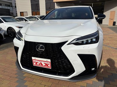 LEXUS NX - 4