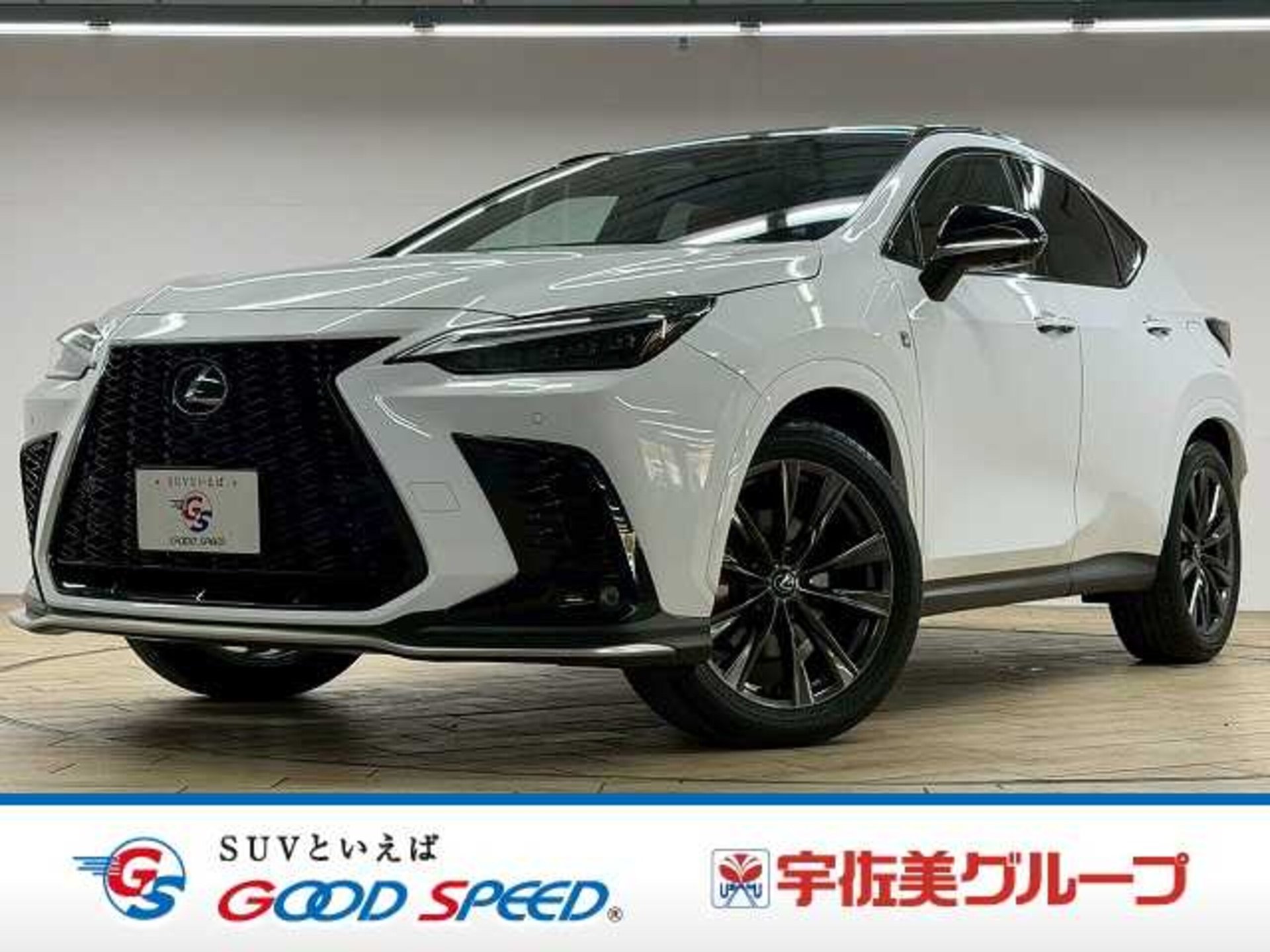 LEXUS NX - View 1