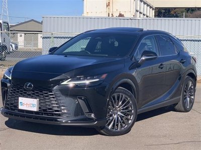 LEXUS RX - 6