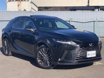 LEXUS RX - 7