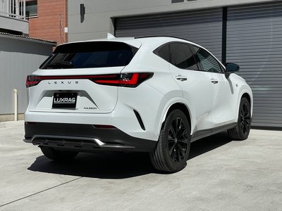 LEXUS NX - 10