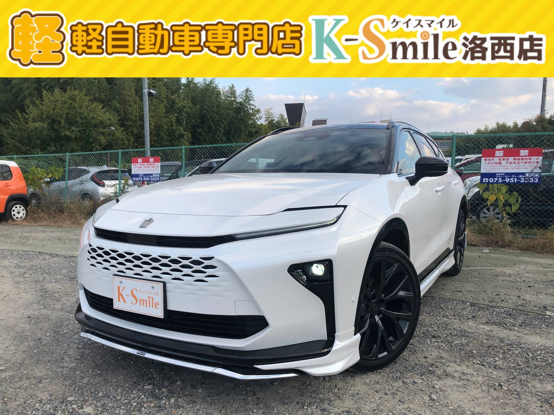 TOYOTA CROWN ESTATE - View 1